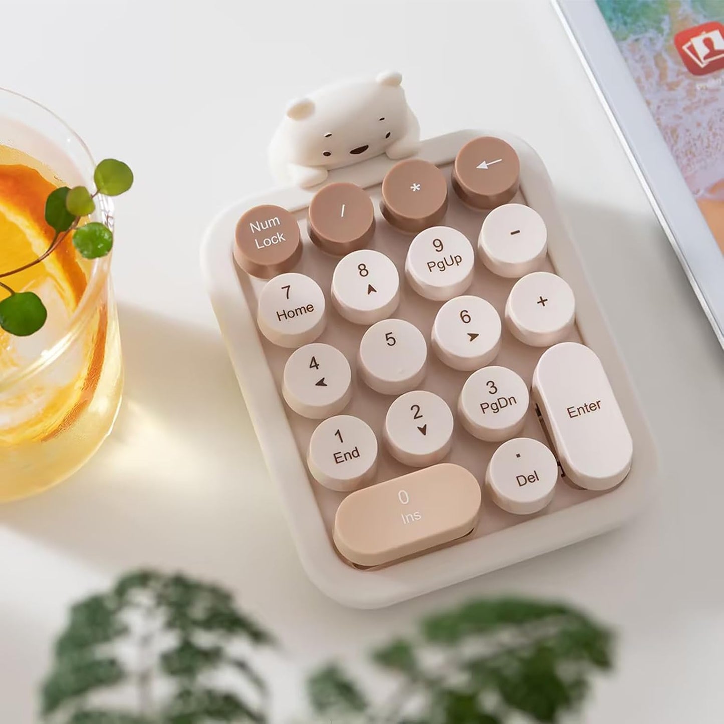 Lomiluskr 2.4G Accounting Cute Wireless Numeric Keypad with Silicone Bear, Colorful Round Keycaps, USB Wireless
