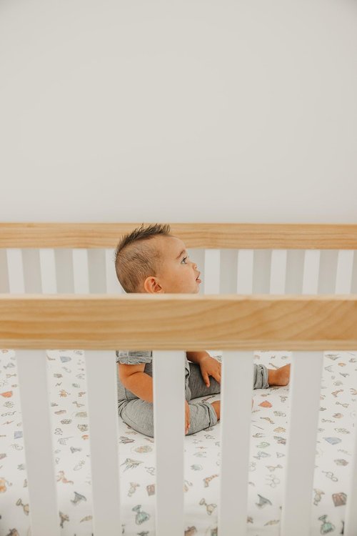 Copper Pearl Premium Knit Baby Crib Sheets: Breathable and Soft, Fitted Crib Sheets for Standard Baby Mattresses, Wizarding World