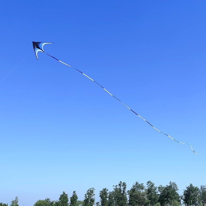 Delta Kite for Kids & Adults - Easy to Fly Large Single Line Beach Kite with 300ft String Handle Included, Perfect for Beginners, Teens
