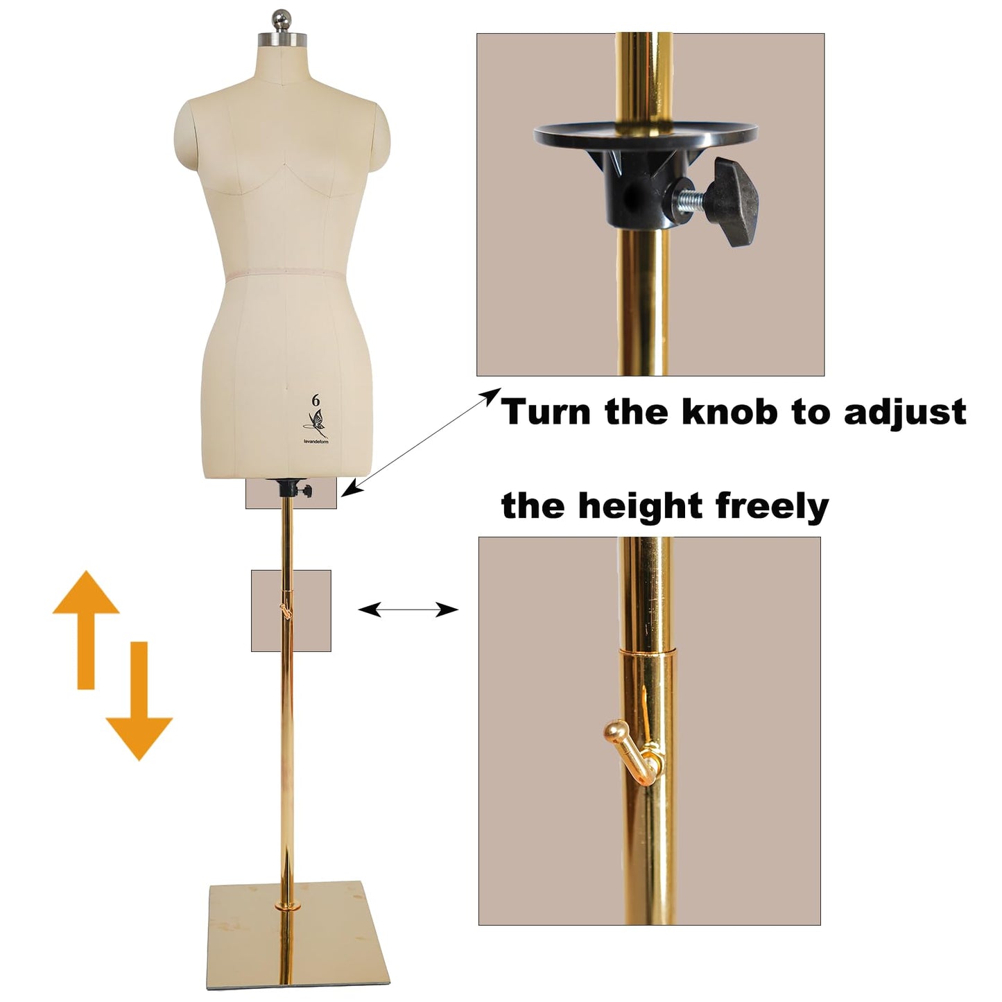 lavandeform Female Dress Model Torso Body Clothing Forms,Sewing Mannequin Foam Body for Pinning.Height Adjustable Stand. (Beige, 6)