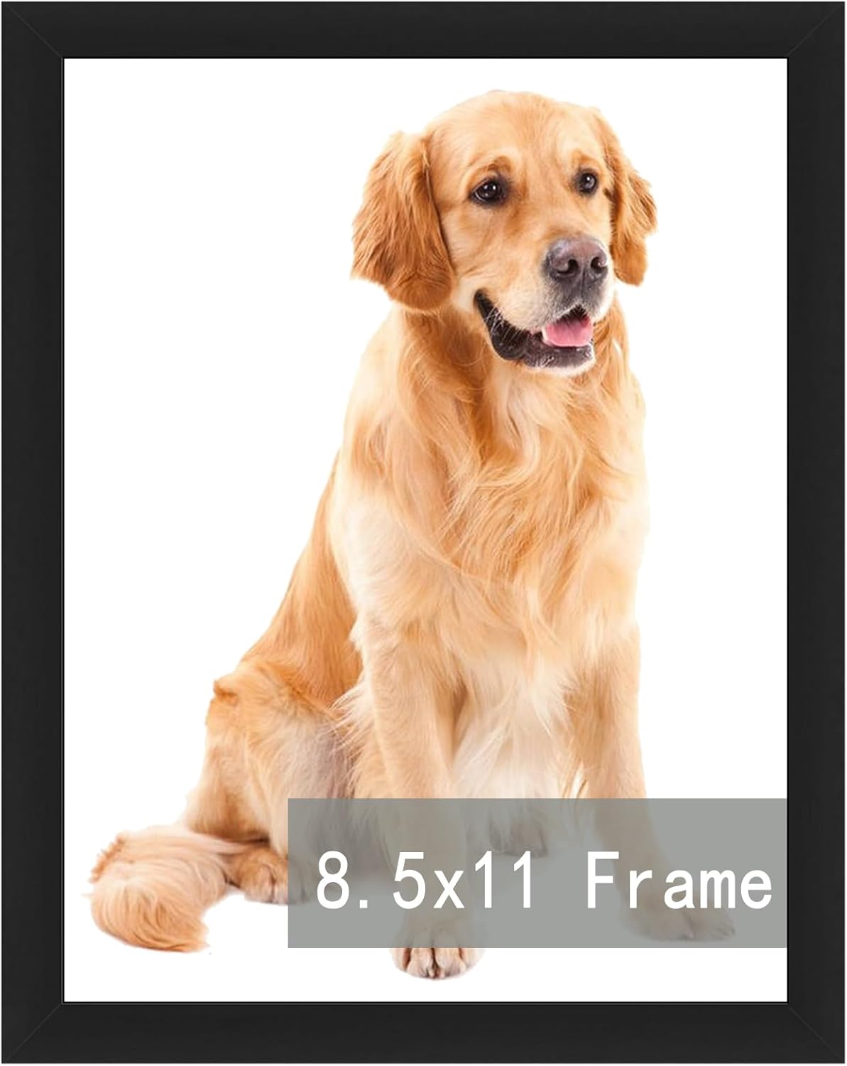 RUN HELIX 8.5x11 Picture Frame - Elegant Document & Diploma Display for Wall or Tabletop, Black
