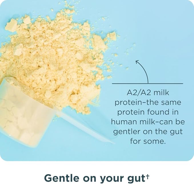 Ancient Nutrition Grass Fed Whey Protein, 23g Protein, Hydrolyzed Collagen Peptides, Organic Regenerative A2/A2 Milk Protein (35 Servings, Vanilla Bean)