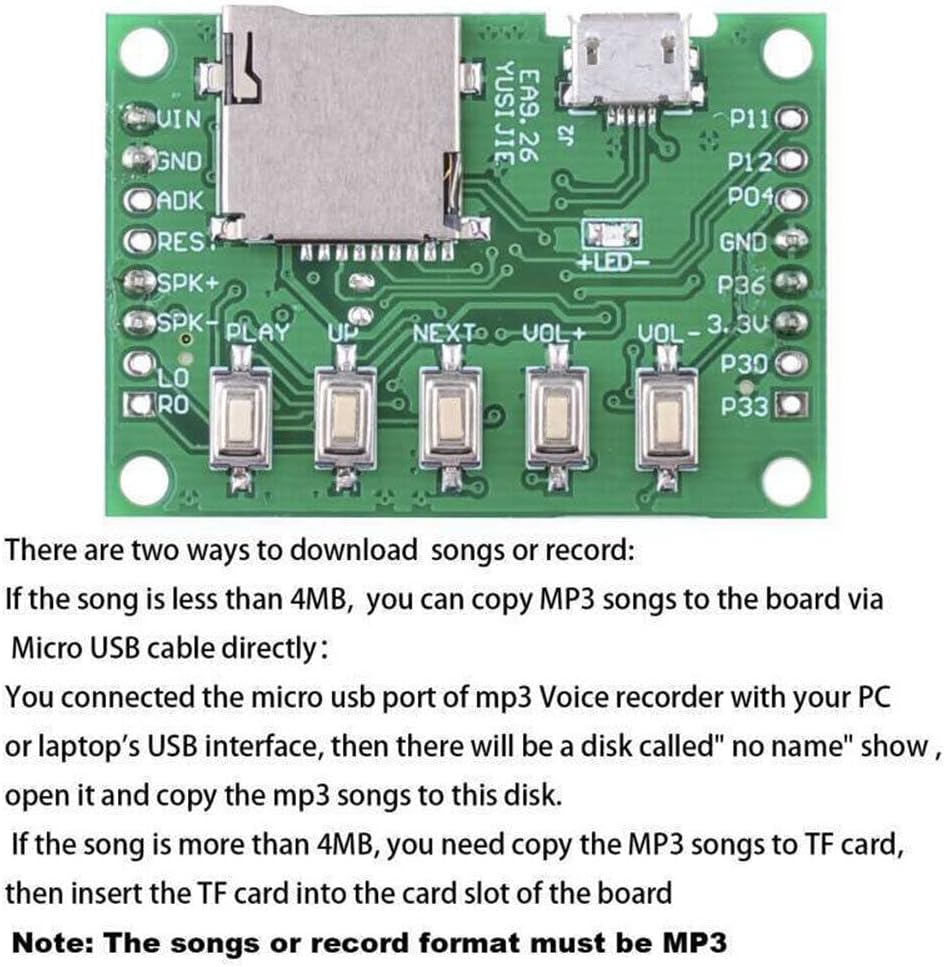 TEAMWILL MP3 Compact Voice Recorder with Playback and PIR Sensor
