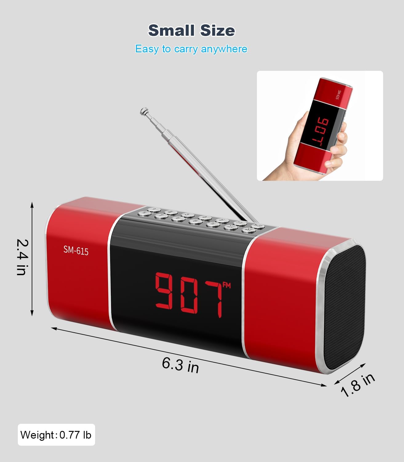 SEMIER MP3 Small Digital FM Radio with Bluetooth Speaker, Portable Rechargeable USB/SD Card Player Radio with Wireless