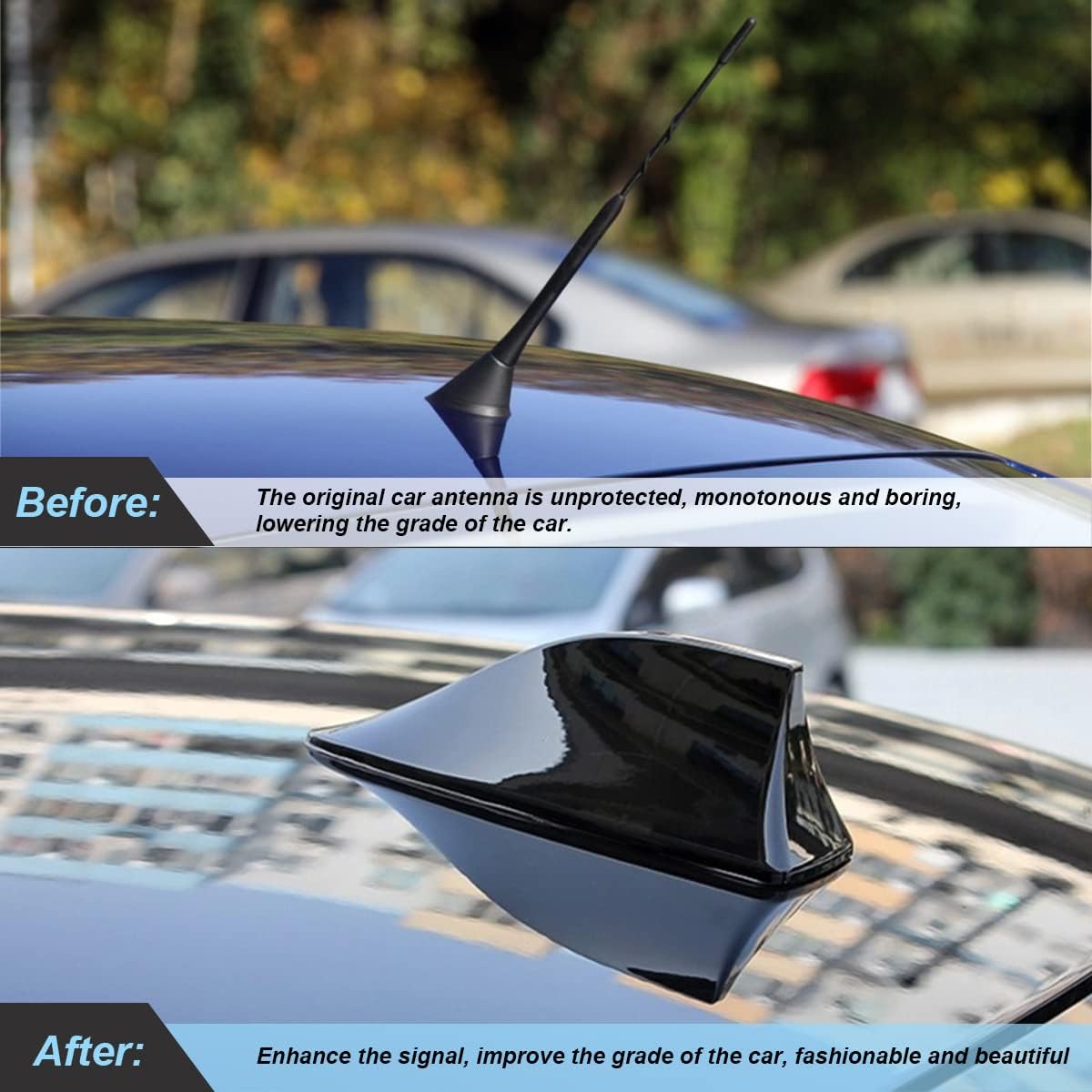 Moly Magnolia Shark Fin Antenna Cover for Car, Automotive Top Roof Aerials AM/FM Radio Signal Base, Vehicle Shark Fin