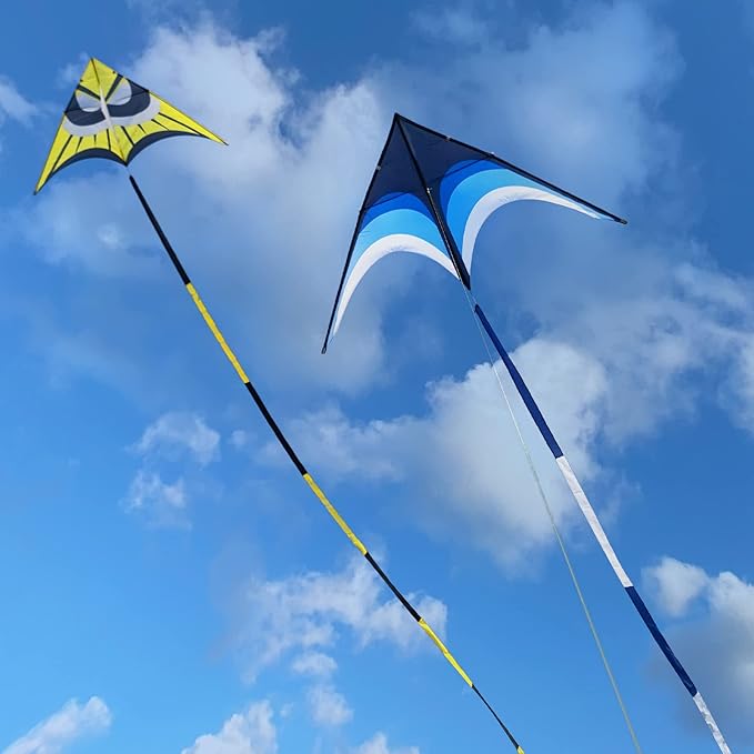 Delta Kite for Kids & Adults - Easy to Fly Large Single Line Beach Kite with 300ft String Handle Included, Perfect for Beginners, Teens
