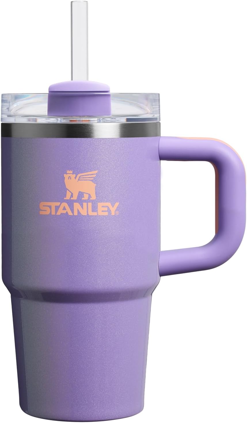 STANLEY Quencher H2.0 Tumbler - 20 oz Insulated Stainless Steel with Handle & Straw | Periwinkle Shimmer