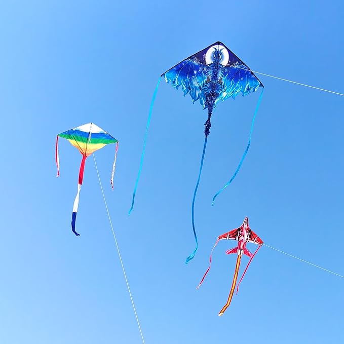 Kites for Kids & Adults, Beach Kites Set for Beginners, Easy to Fly Large Kites Pack for Boys and Girls, Kite String Included, Perfect for Outdoor Activities
