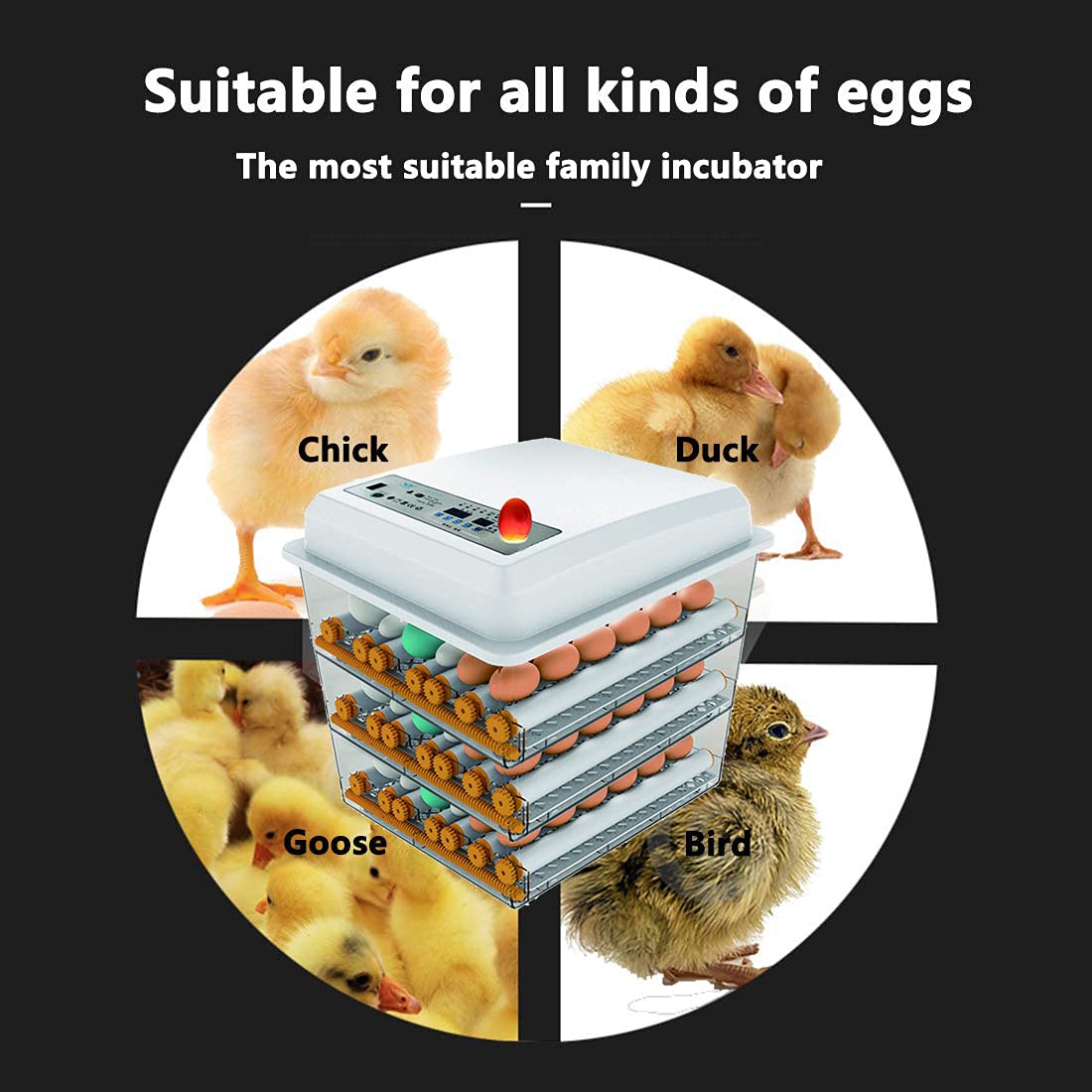 JAEDO Automatic Egg Incubator 150~180 Egg Incubator Digital Automatic Hatcher with Egg Turning for Chickens Ducks Goose Birds