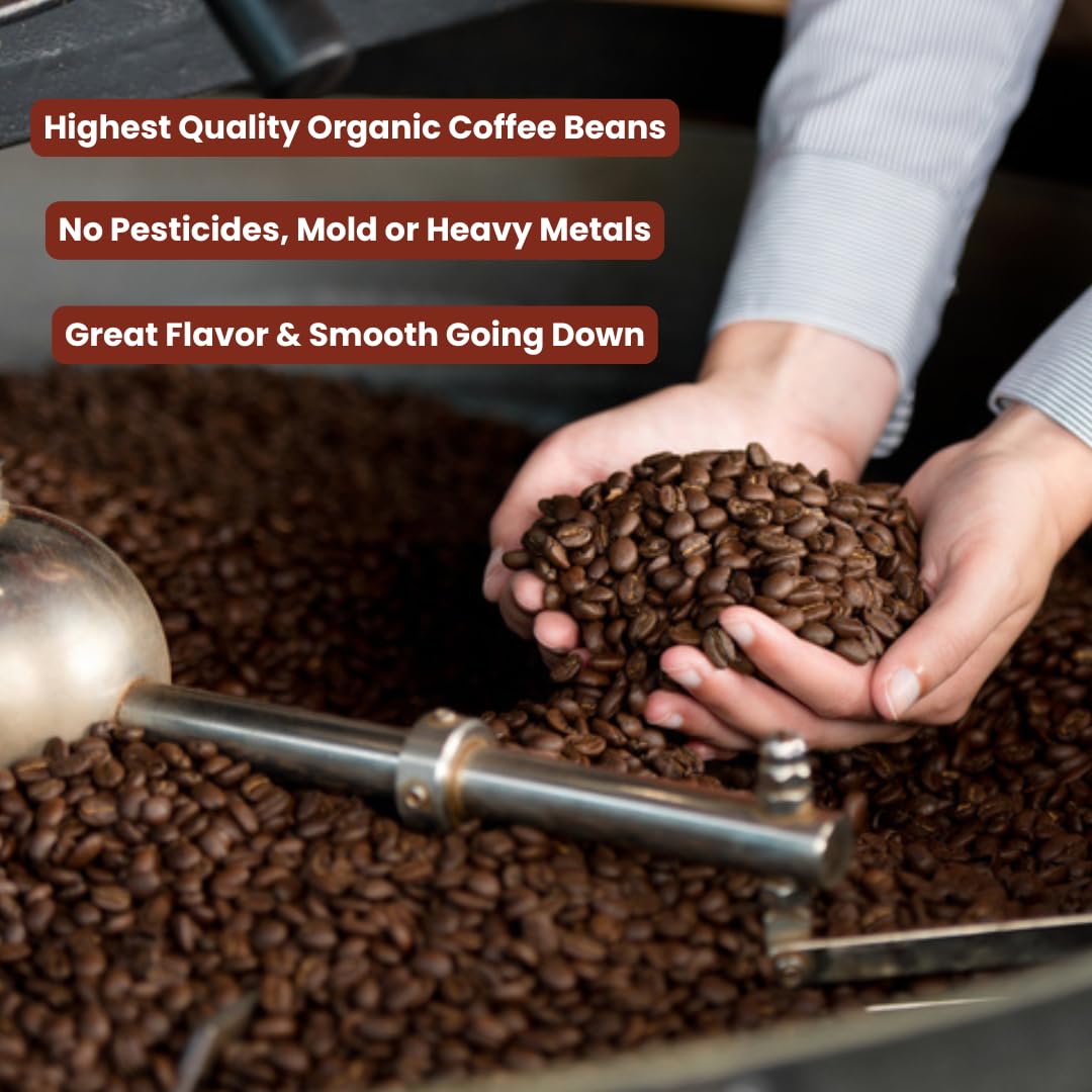 Java Planet, Coffee Gift Sampler Set, for Coffee Lovers: Low Acid Organic Beans: Whole Bean, Mold-Free & Stomach Friendly - Arabica Gourmet, 1.32 LBs (19.2 oz) packaged in 6 Bags Each 3.2 oz