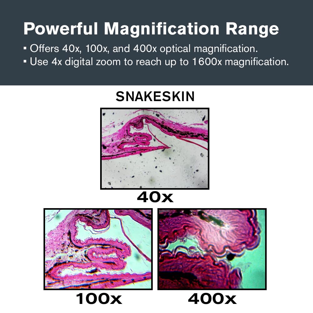 Celestron – LCD Digital Microscope II – 3.5" Screen – 5MP Camera – 40x–1600x Magnification – Rotating Head – SD Card Included – TV Output – Ideal for Slides, Labs, Classrooms, Biology, Education