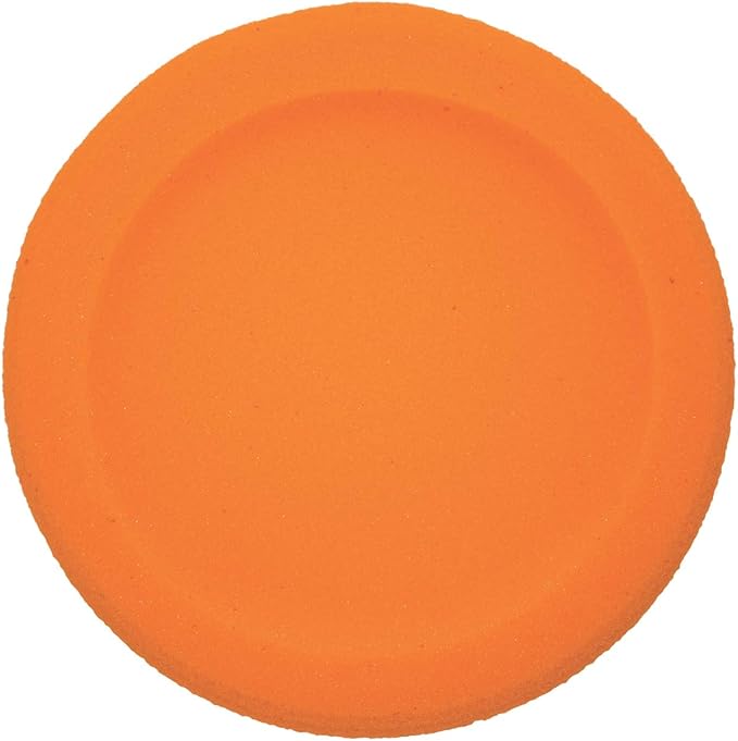 Champion Sports-CHSFDSET Rounded Edge Foam Discs, Red/Yellow/Royal Blue/Green/Orange/Purple