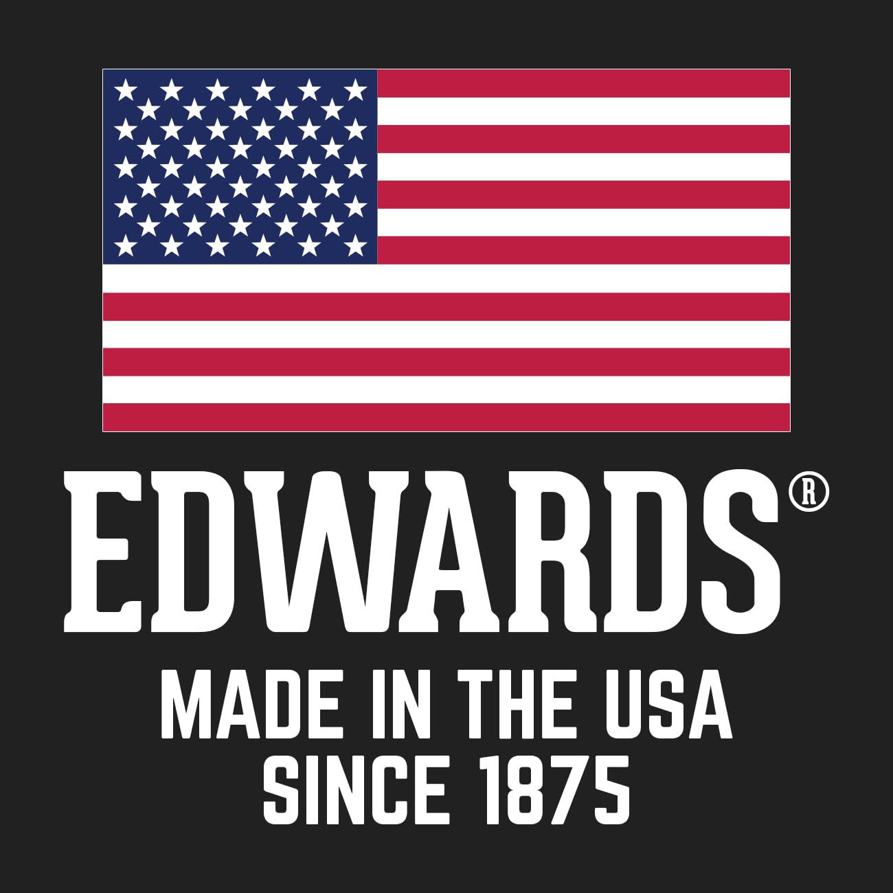 Edwards 20-Ton Shop Press, Portable Power Unit, 230V 1Ph (HAT2010)