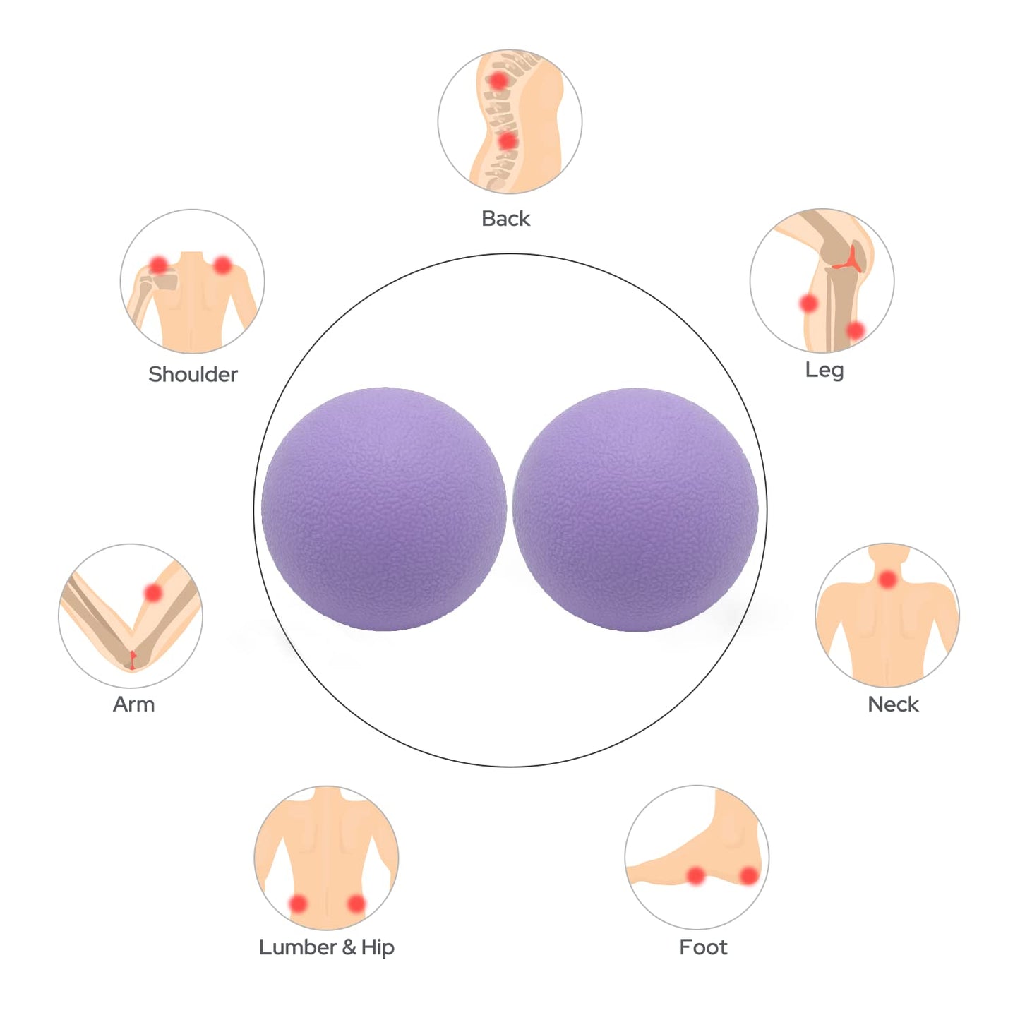 Hard Lacrosse Ball Massage Ball Therapy. Firm Trigger Point Massager Tool for Deep Tissue Yoga Physiotherapy Myofascial Release Muscle Relax Plantar Fasciitis Pain Relief (2 Pack) (Purple)