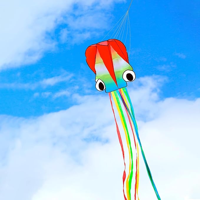 Mint's Colorful Life Kite Set for Kids and Adults, Easy to Fly Butterfly Delta Airplane Dragon Octopus Kite, Large Beach Kites Kits with 300ft String, Best for Gifts & Family Outings