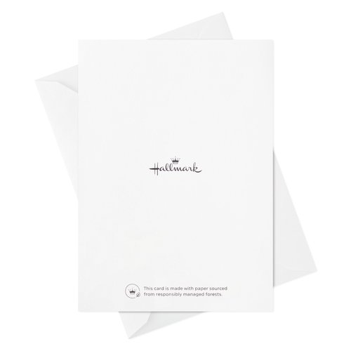 Hallmark Graduation Cards Bulk Assortment, Here's to the Future (36 Cards and Envelopes, 6 Designs)