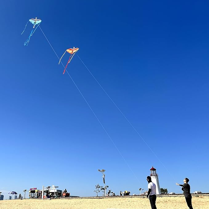 Mint's Colorful Life Dragon Kite for Kids & Adults, Easy to Fly Best Beach Kites for Beginners, 300ft Kite String Included