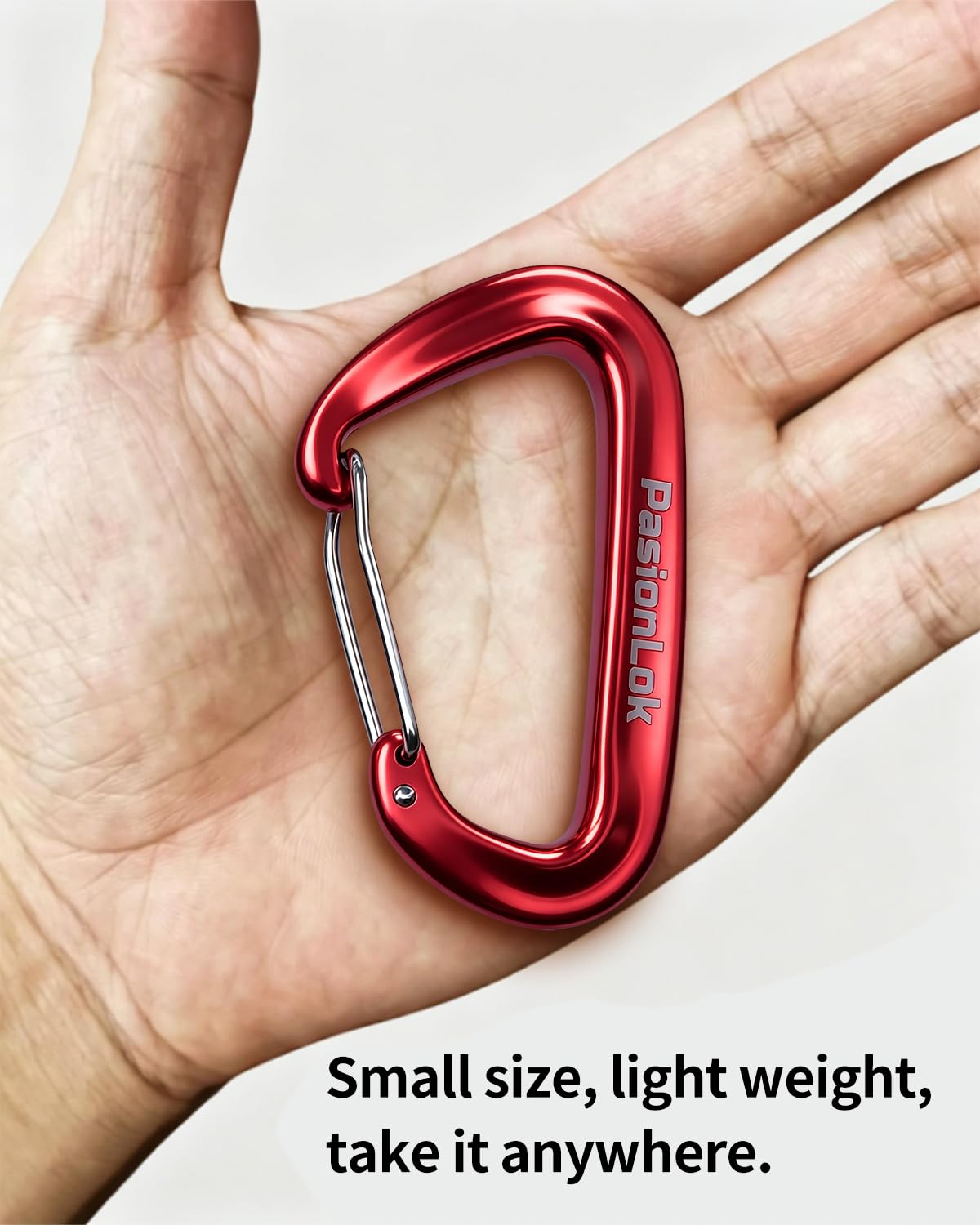PasionLok Carabiner Clips Heavy Duty 12KN, 4 Pack Aluminum Carabiner Keychain, Small D Ring Hook for Hammock Camping Essentials, Backpack Key Ring Clip, Dog Leash, Multi Color