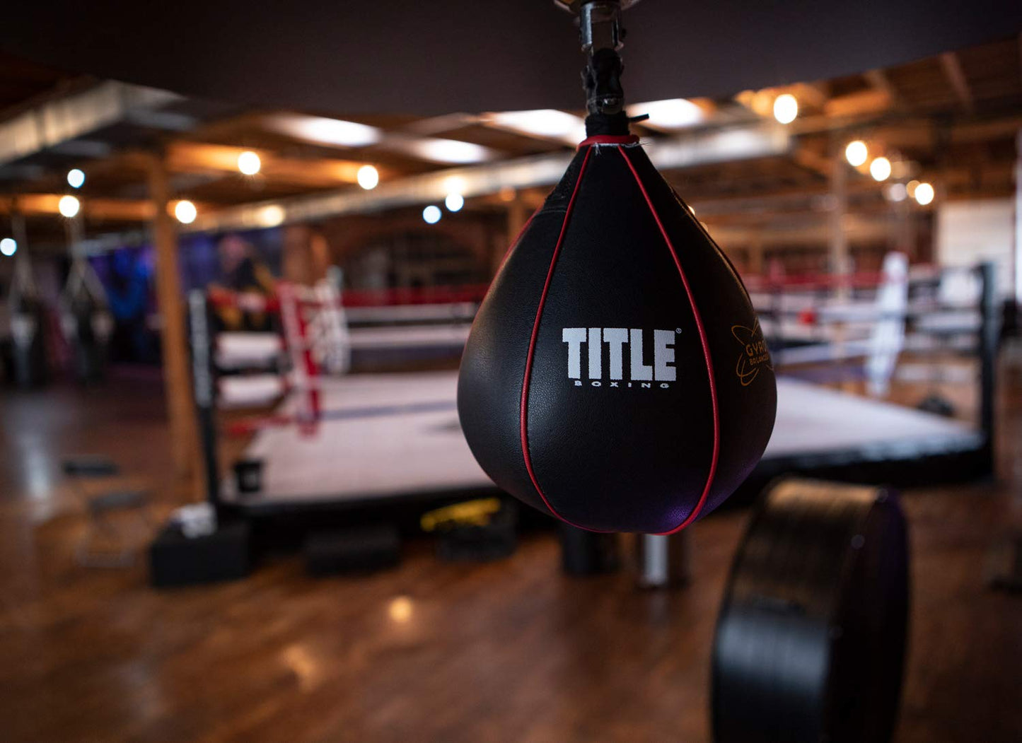 TITLE Boxing Gyro Balanced Speed Bags, Black, Small