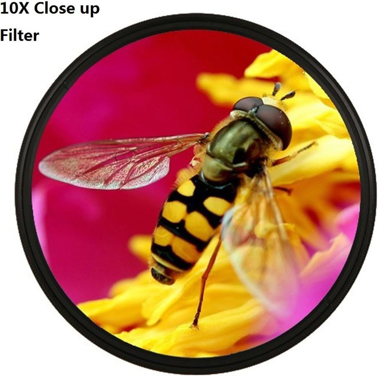 Yunir +1, +2, +4, +10 (62mm) Close Up Macro Lens Filter Kit with Lenses for Photography, Optical Glass Filters, Double