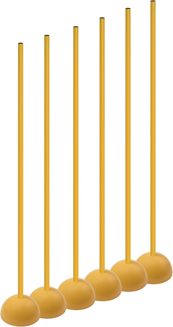 Champion Sports Coaching Sticks