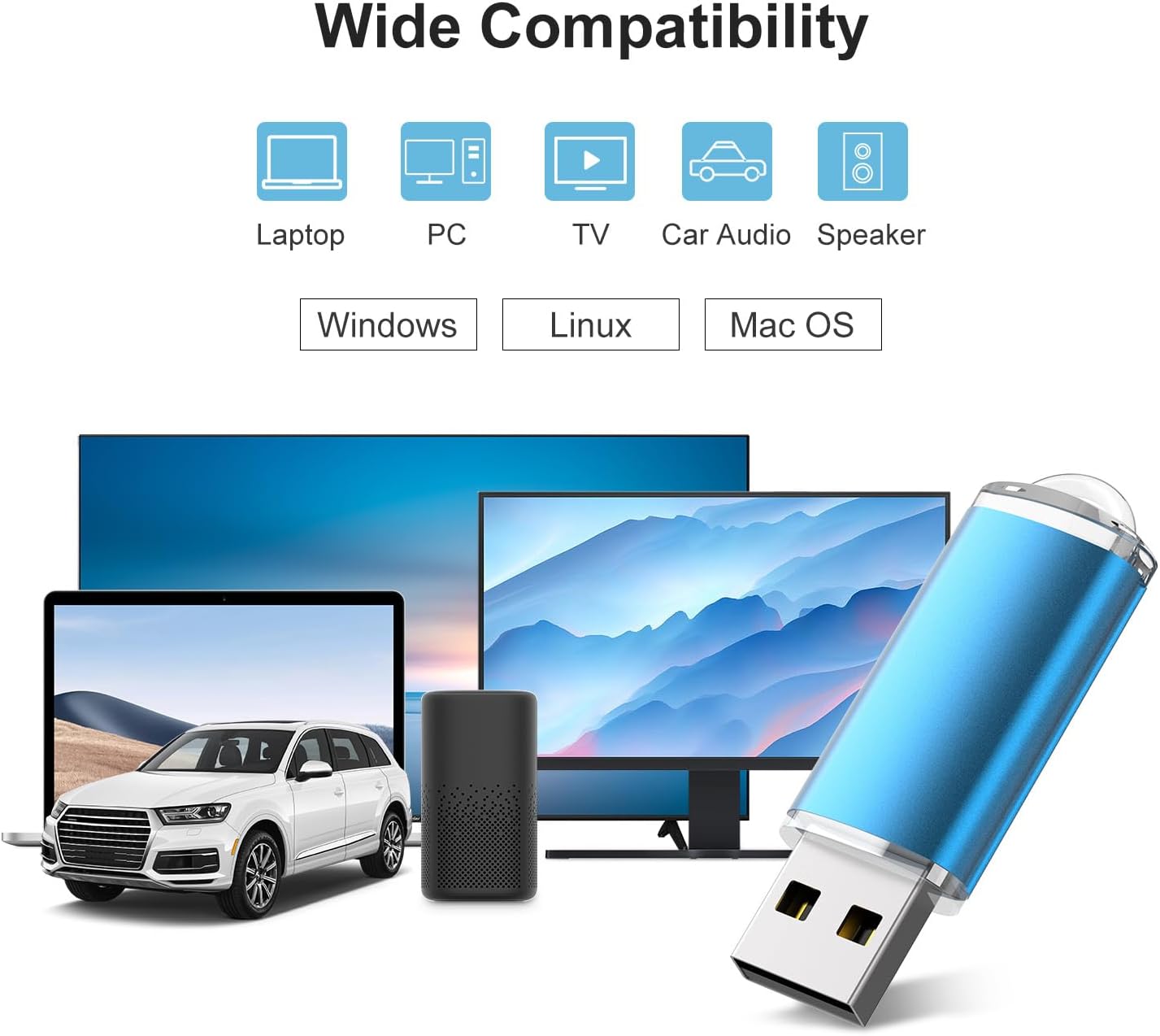 RAOYI 10 Pack 1GB 1G 2.0 USB Flash Drive USB Memory Stick Bulk Thumb Drive Pen Drive Blue