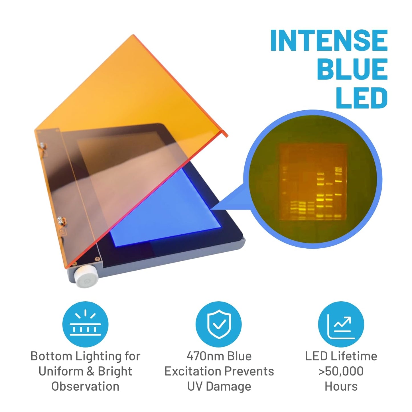 Blue LED Light Transilluminator 470nm for Gel Electrophoresis Visualization and Gel Cutting