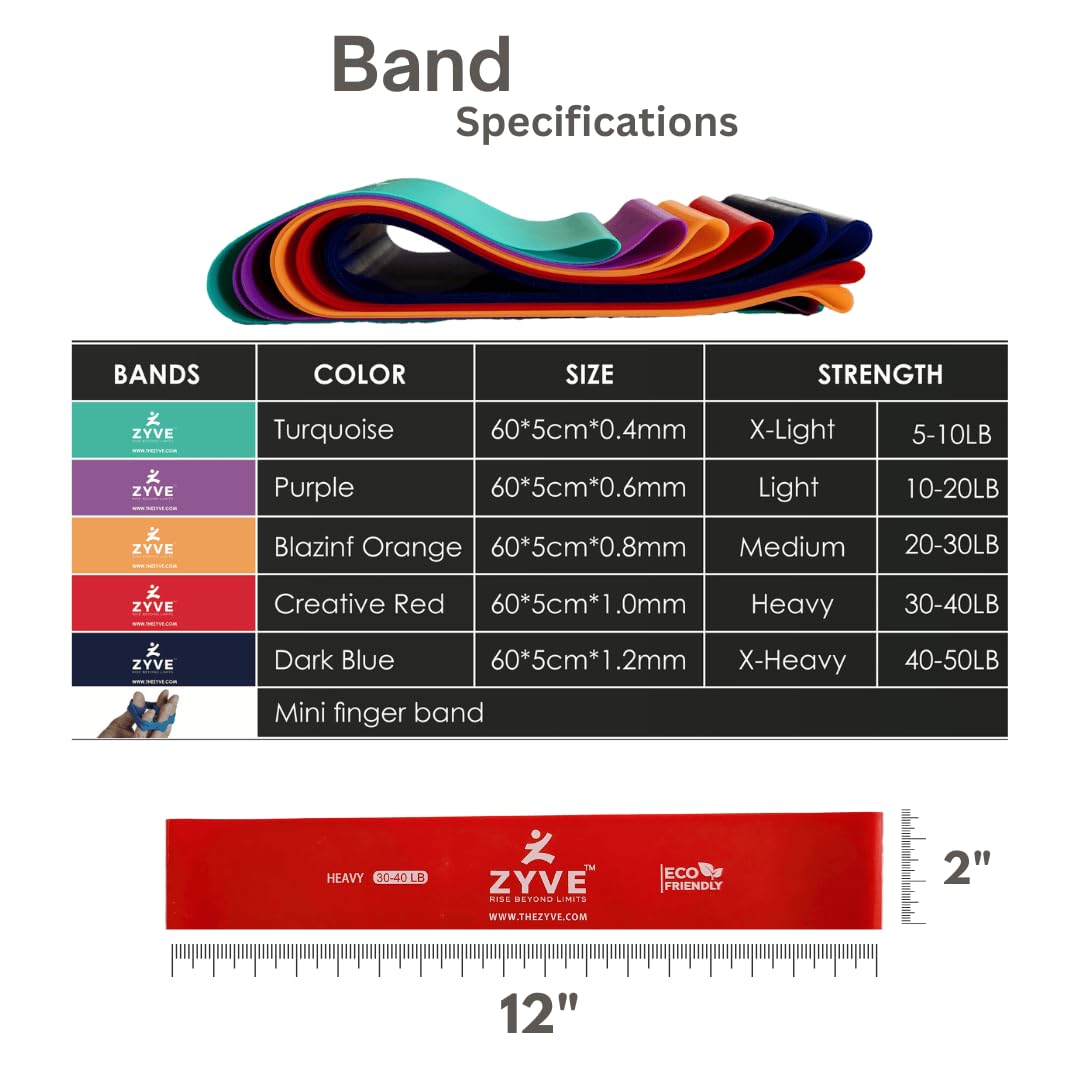 ZYVE Resistance Bands Set for Women & Men –12" Heavy Duty Natural Rubber Exercise Loop Bands for Legs, Glutes, Strength Training, Stretching, Physical Therapy, Home Workouts-Pack of 5 with Carry Pouch
