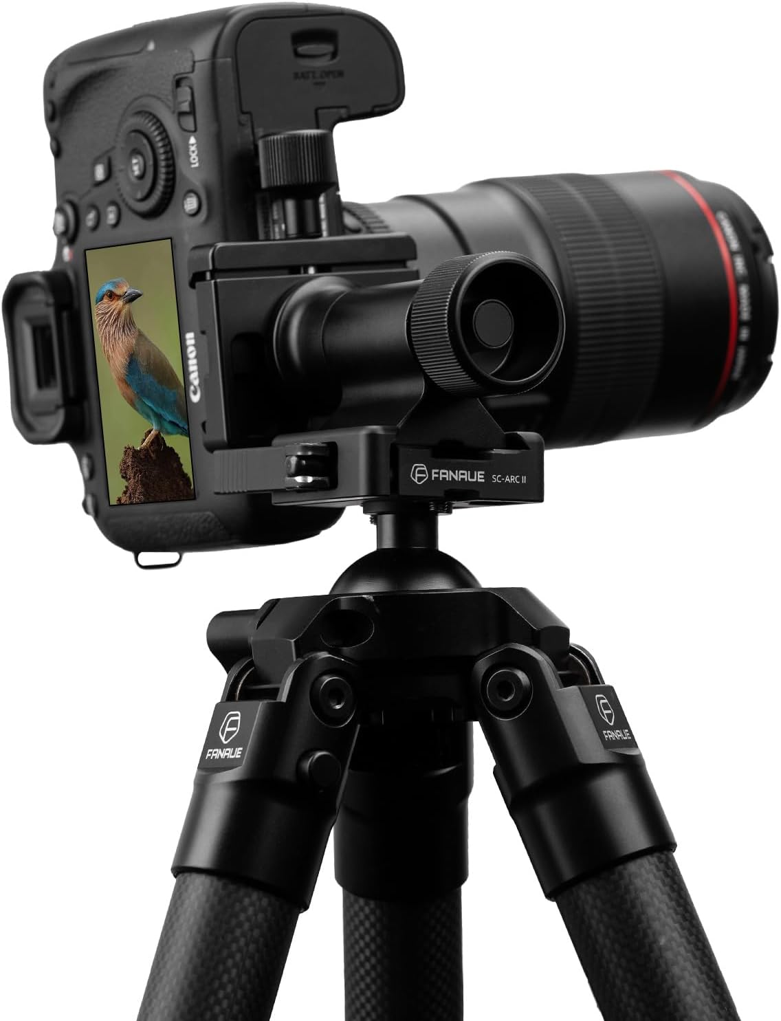 FANAUE Monopod Gimbal Head with Arca-Swiss Dovetail Quick Release Plate | Rapid Side-Saddle Tilt Adjustment