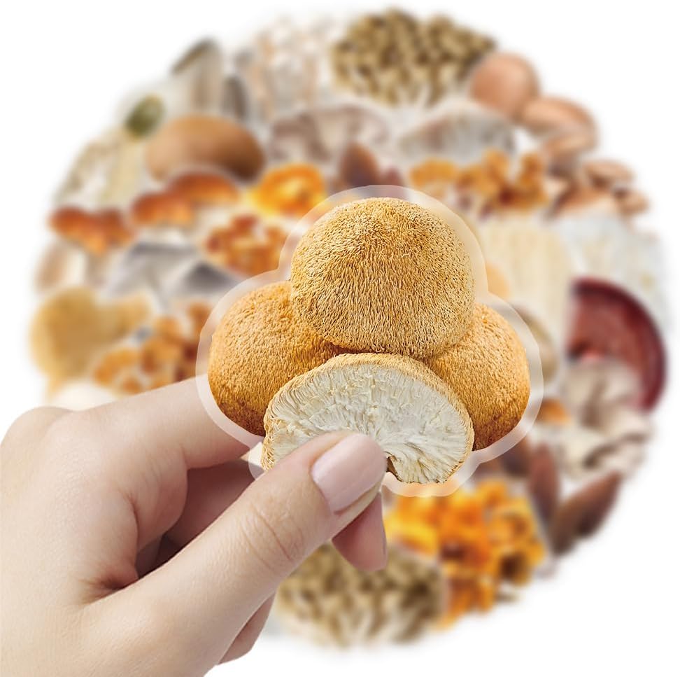 Mekycro 50 Pack Mushroom Vinyl Stickers PCS, Botanical Aesthetic Waterproof PET Die-Cut Fungi Sticker for Journal