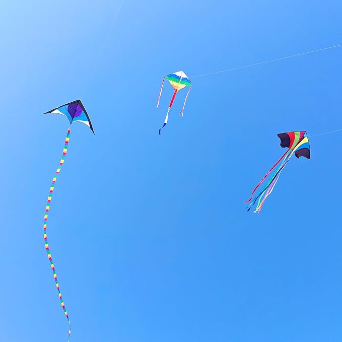 Mint's Colorful Life Kite Set for Kids and Adults, Easy to Fly Butterfly Delta Airplane Dragon Octopus Kite, Large Beach Kites Kits with 300ft String, Best for Gifts & Family Outings