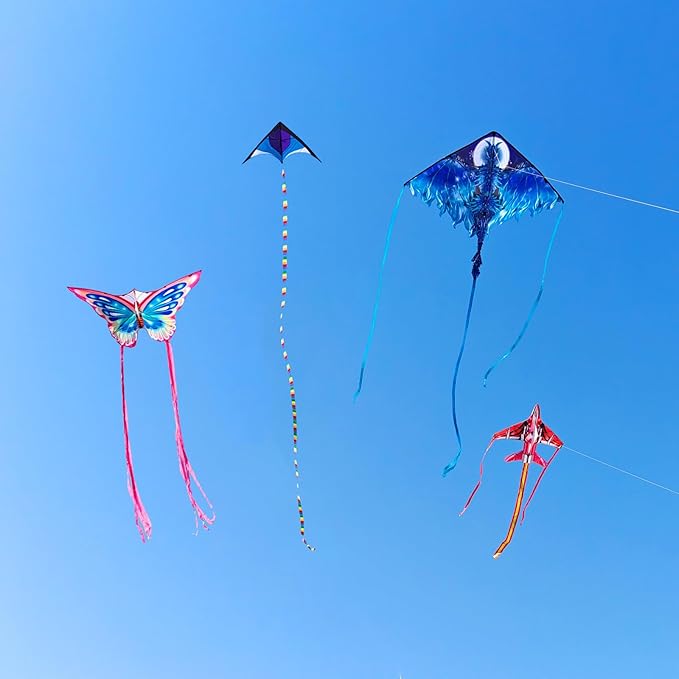 Mint's Colorful Life Kite Set for Kids and Adults, Easy to Fly Butterfly Delta Airplane Dragon Octopus Kite, Large Beach Kites Kits with 300ft String, Best for Gifts & Family Outings