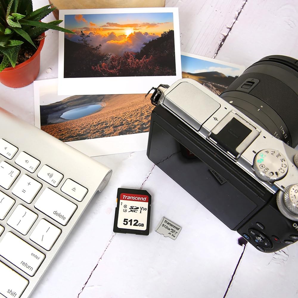 Transcend SDC300S 128GB 100MB/s, U1 V10, 10 SDXC SD Card, Compatible with DSLR Cameras/ Digital Cameras / Trail Cameras