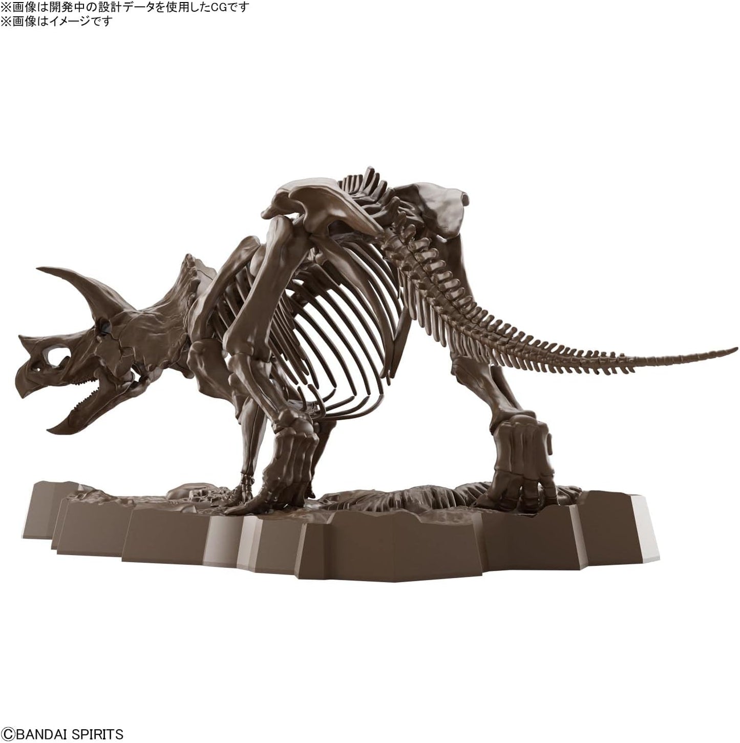 1/32 Bandai Hobby - Dinosaur - Triceratops, Bandai Spirits Imaginary Skeleton Model Kit