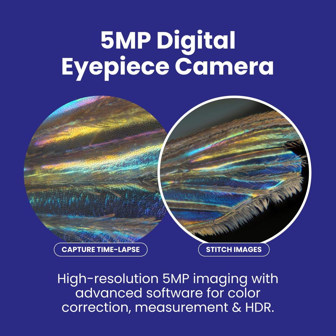 AmScope B120 Series Student & Professional LED Binocular Compound Microscope - 40X-2500X Magnification - Includes 5MP USB Camera & Siedentopf Head