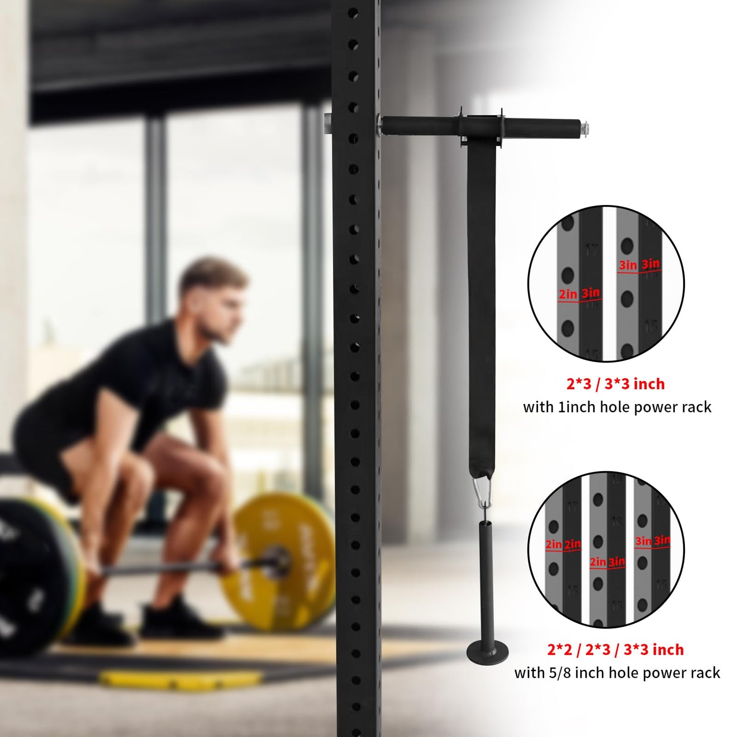 Wrist and Forearm Blaster with Weight Loading Pin, Wrist Roller & Forearm Strengthener for Training and Workout, Ideal for Hand, Wrist, and Forearm Muscle Strength Training at Home or Gym