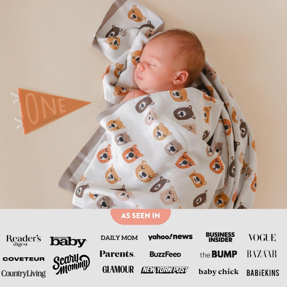 Set Lucy Darling Petit Milestone Pennants Baby Monthly Milestone Pennant Flags Newborn Photo Props & Felt Nursery Decor