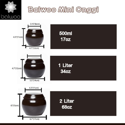 BALWOO Earthenware Onggi Korean Traditional Clay Jar Mini Ceramic Canister/Handmade Food Storage Container for Tea, Coffee Bean, Salt/Breathing Clay Pot Kimchi Fermentation Crock (2L(67.6oz))