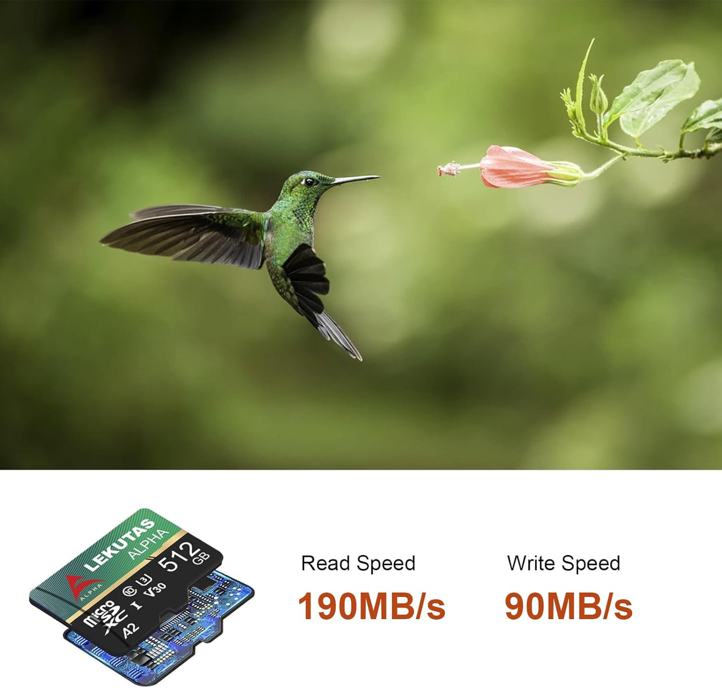lekutas 512GB 120MB/s, C10, U3, A2, V30, 4K Micro SD Card, microSDXC UHS-I Flash Memory Card TF Card, High Read Speed