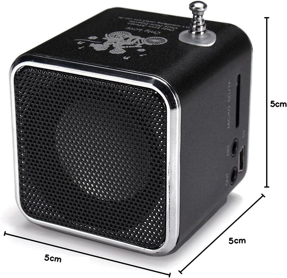 Longben MP3 Bluetooth Speaker,Digital Mini Portable FM Radio Radio mini Speaker USB SD TF Card Audio Player (Black)