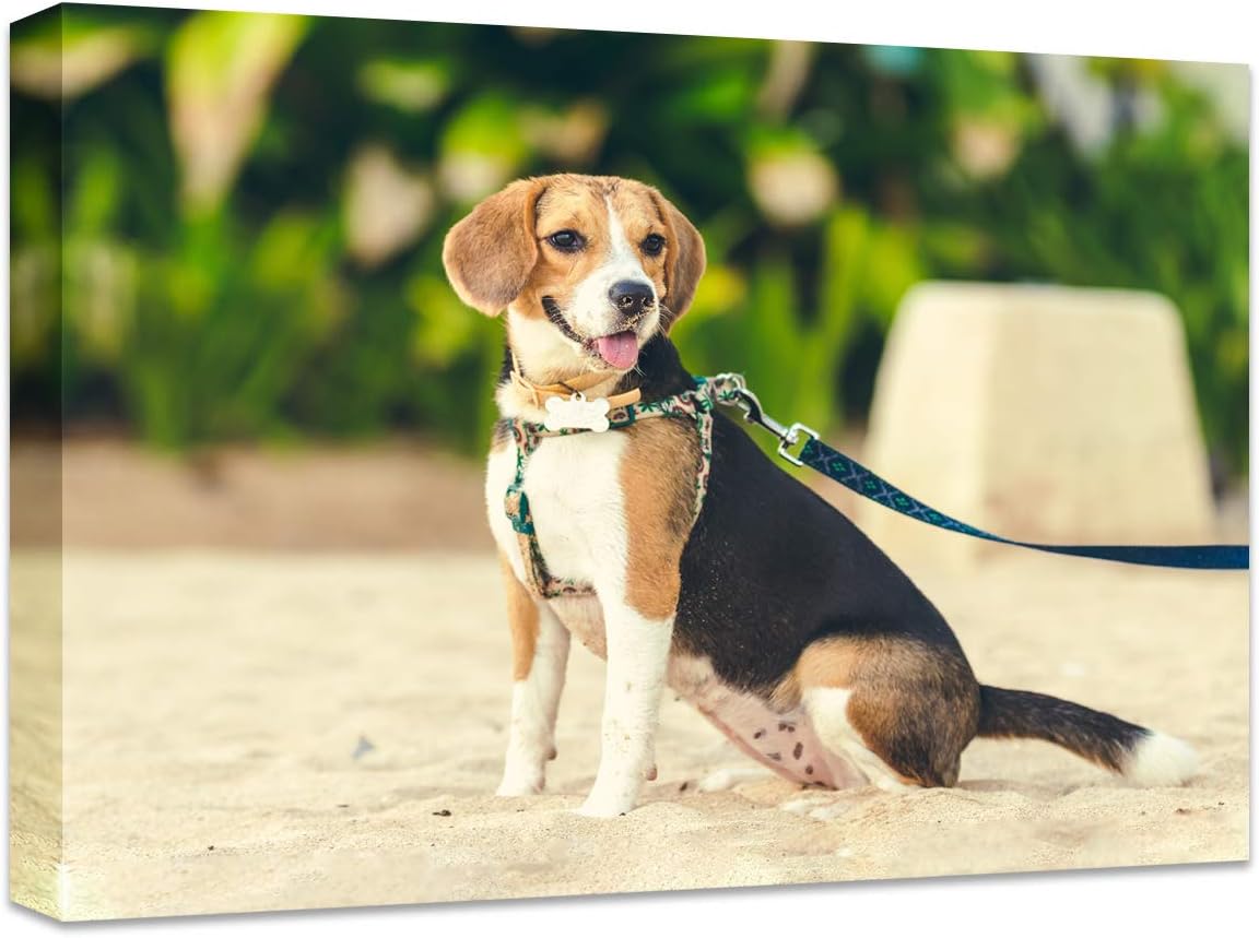 Skiennix Personalized Canvas Print - Custom Wall Art for Bedroom & Living Room | 16" W x 12" H