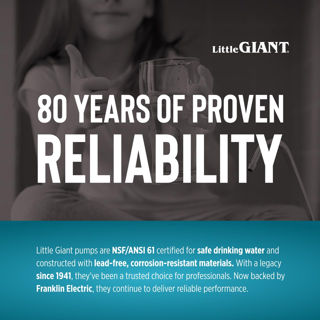 Little Giant 16G-M151-20 1 HP, 52 GPM, 1 Phase, 115 Volt, Manual Cast Iron Submersible Grinder Pump with 20-Ft. Cord, Blue, 509809
