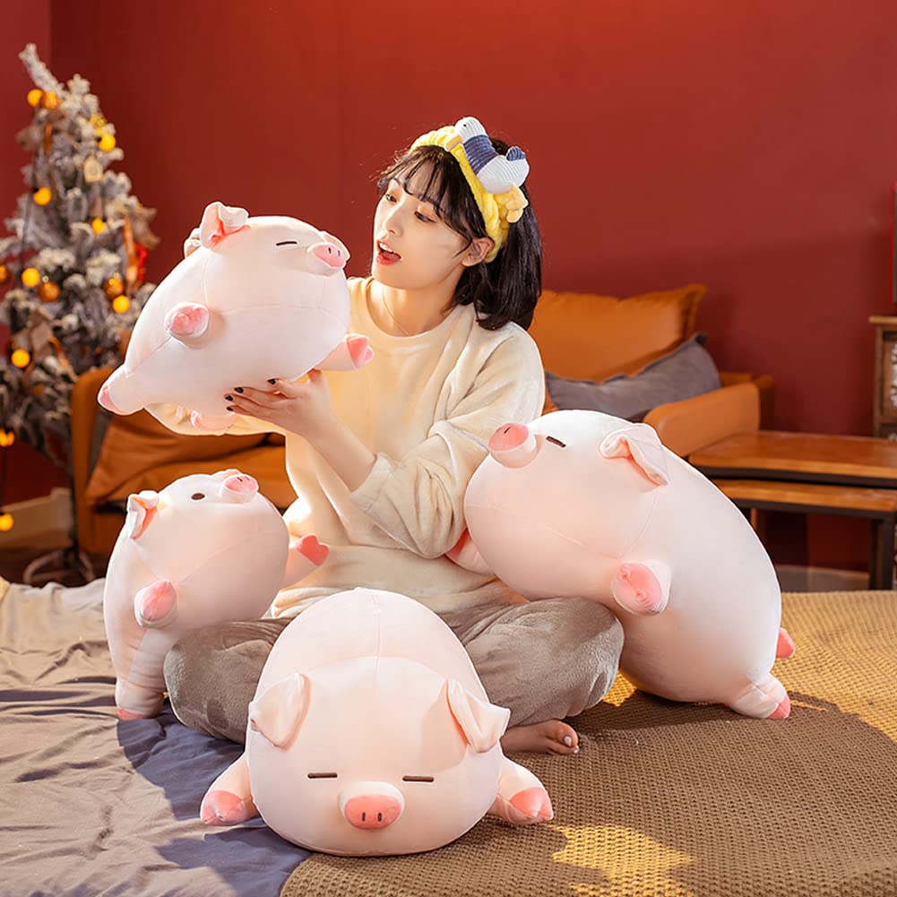 lannery Pig Stuffed Animal Hugging Pillow, Soft Fat Pig Plush Toy Gifts for Kids, Valentine, Christmas (Round Eyes, 23.6")