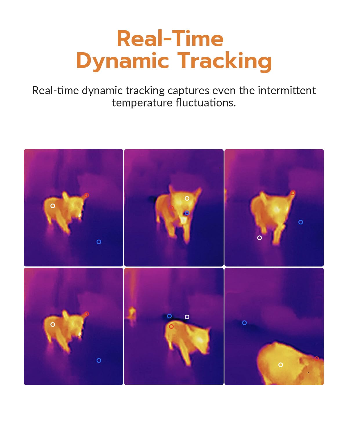 AccuMEMS GT16D Dual-Spectrum Thermal Imaging Camera, AI UIRA-Scene Detection with Thermometer-Mode Precision Detection, UIRA-IR 240×240 Resolution, -4°F~1202°F, < 50 mK, 11h Runtime, 25Hz