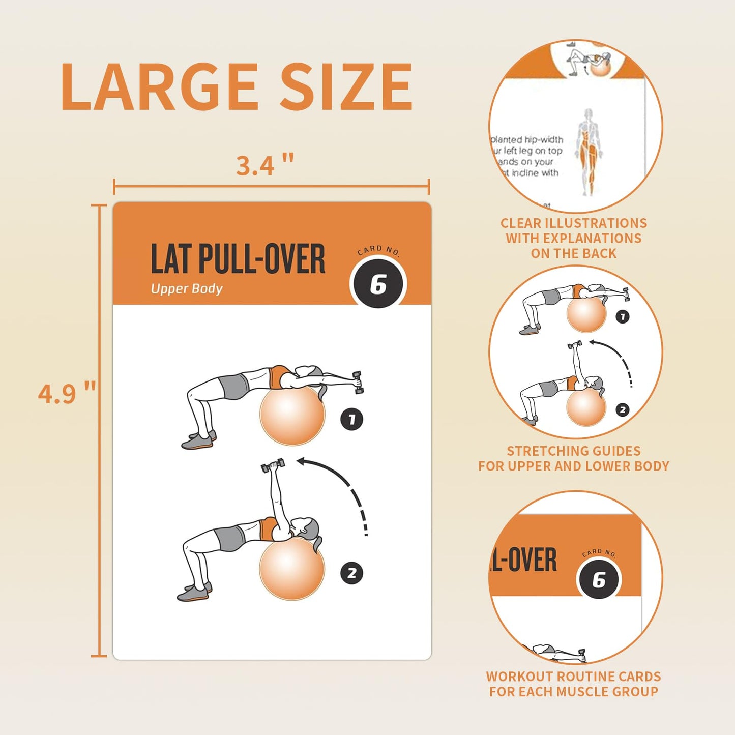 ELAORY Stability Ball Workout Cards, 62 Exercises Cards Deck Large Size 5" x 3.5" Fitness Cards for Women & Men, Beginner Fitness Guide to Training Exercises at Home or Gym
