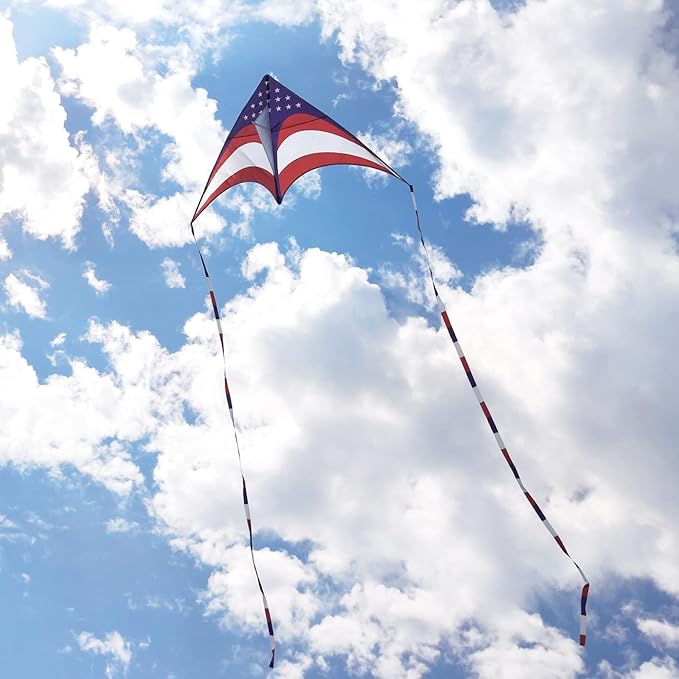 Mint's Colorful Life Delta Kite for Kids & Adults, Extremely Easy to Fly Kite, Best Kites for Beginner