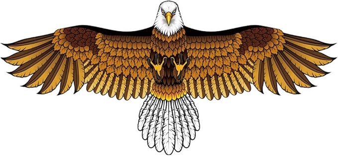 Bald Eagle Kite for Adults and Kids, Huge Kites Easy to Fly Single Line Kite for Beach Trip