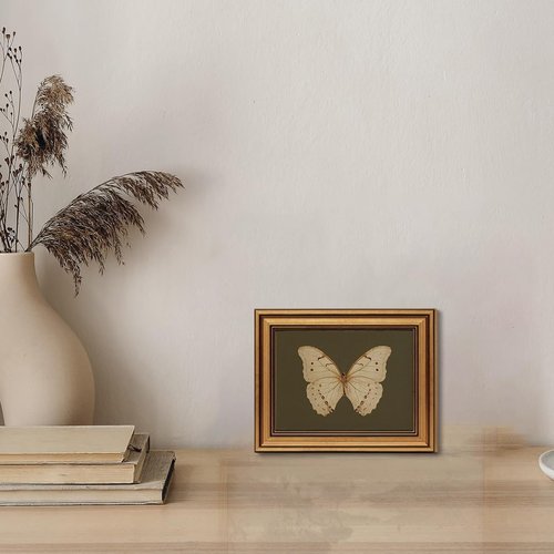 Gold Framed Vintage Butterfly Canvas Wall Art - Moody Insect Artwork for Living Room, 8x10