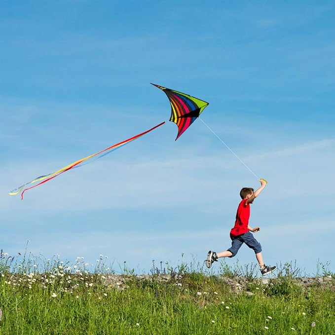 Mint's Colorful Life Delta Kite for Kids & Adults, Extremely Easy to Fly Kite, Best Kites for Beginner