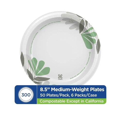Dixie Disposable Paper Plates - Medium-Weight Pathways Design | 300 Count Bulk Case (6 Packs of 50)